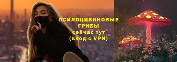 таблы Елабуга