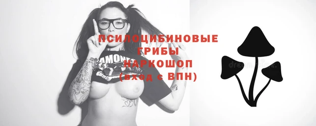 метадон Ельня