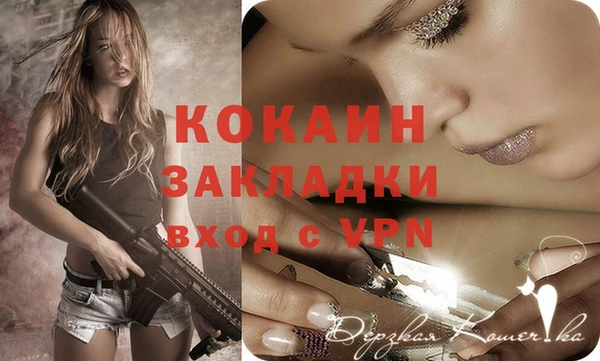 метадон Ельня