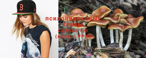 метадон Ельня