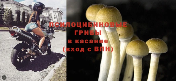 метадон Ельня