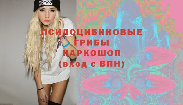 метадон Ельня